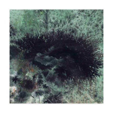 Dlynn Roll 'Coral And Jelly Fish I' Canvas Art,35x35